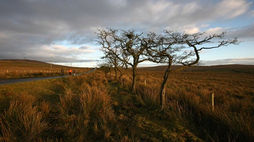 A view of the Divis landscape
